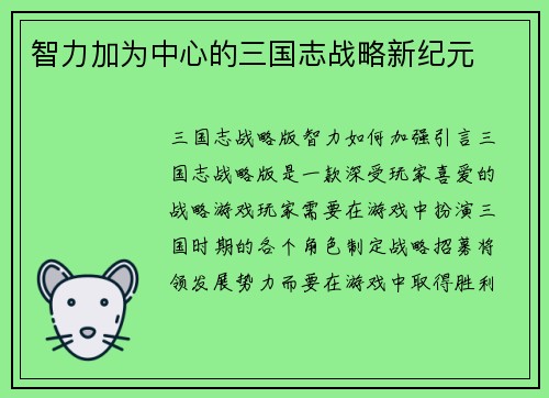 智力加为中心的三国志战略新纪元