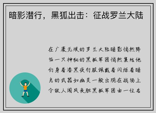 暗影潜行，黑狐出击：征战罗兰大陆