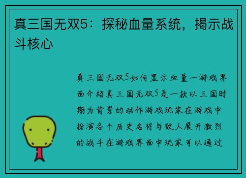 真三国无双5：探秘血量系统，揭示战斗核心